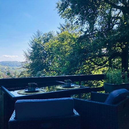 Woody Lodge - Duplex Nature Bonsoy Ardennes Hastiere-par-dela エクステリア 写真