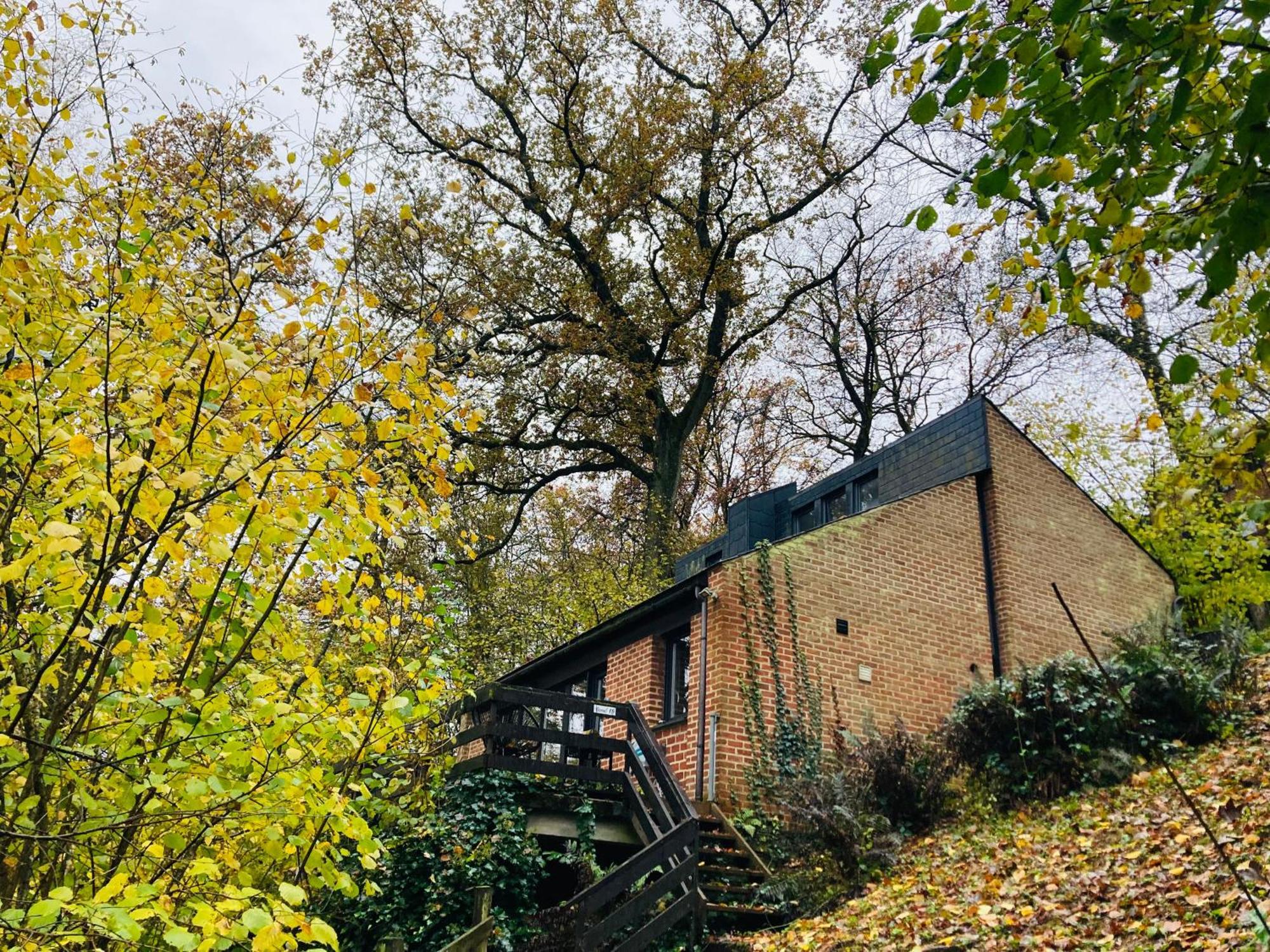 Woody Lodge - Duplex Nature Bonsoy Ardennes Hastiere-par-dela エクステリア 写真