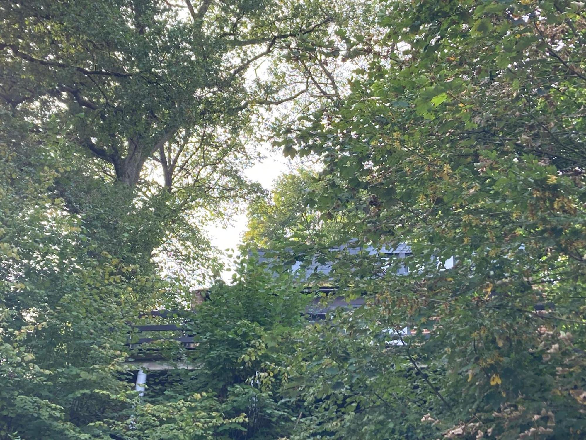 Woody Lodge - Duplex Nature Bonsoy Ardennes Hastiere-par-dela エクステリア 写真