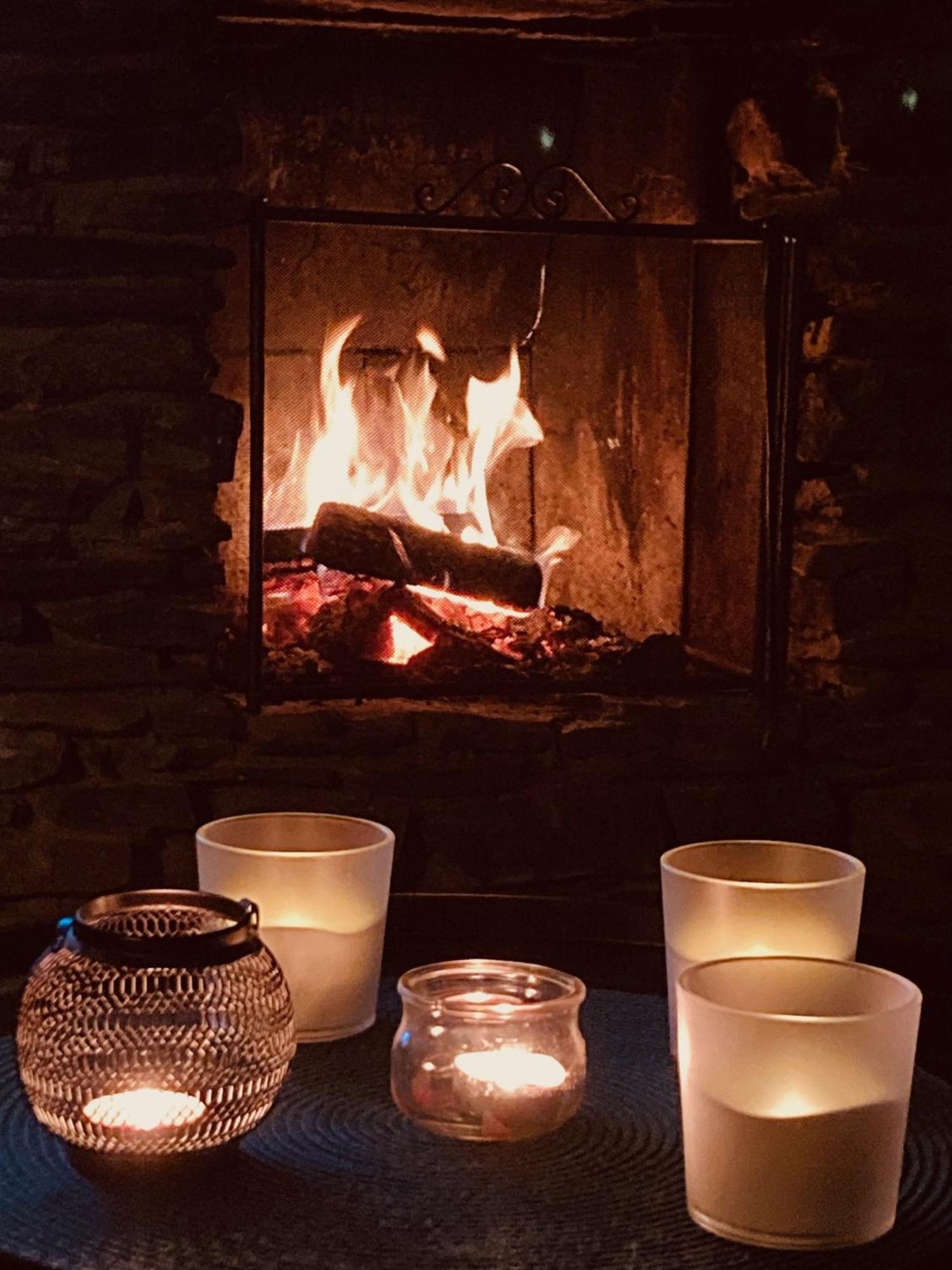 Woody Lodge - Duplex Nature Bonsoy Ardennes Hastiere-par-dela エクステリア 写真
