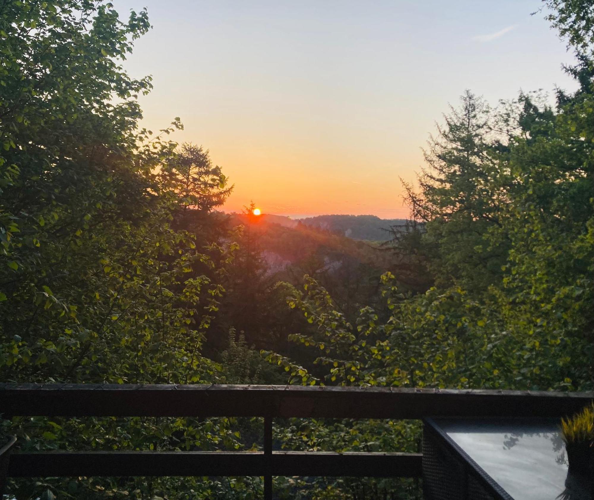 Woody Lodge - Duplex Nature Bonsoy Ardennes Hastiere-par-dela エクステリア 写真